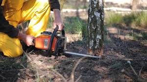 Best Lawn Mowing  in Venus, TX