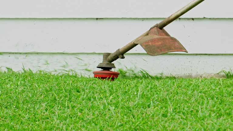 Best Tree Preservation Services  in Venus, TX